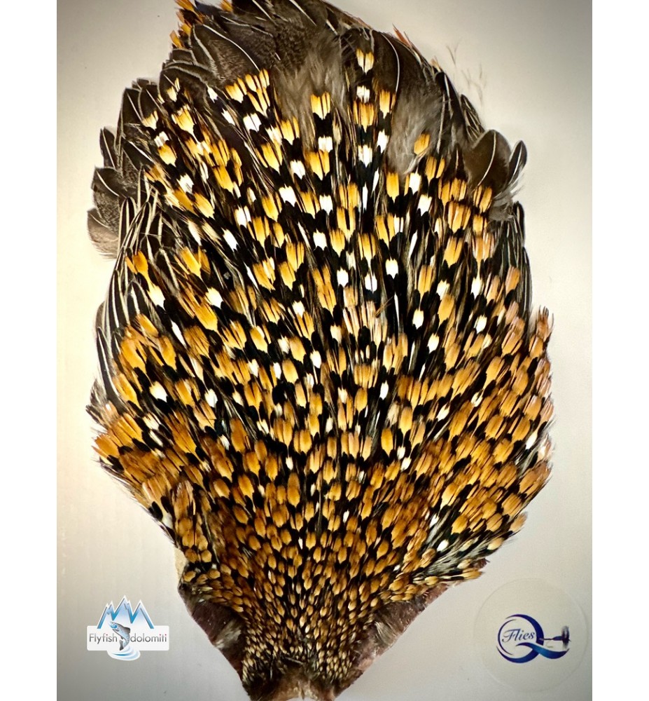 JUNGLE COCK | Fly fishing equipment